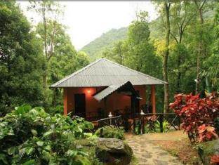 Blue Ginger Wayanad Resorts Buitenkant foto